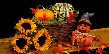 PictureSquash in a basket with sunflowers and pumkins and red/yellow leaves around